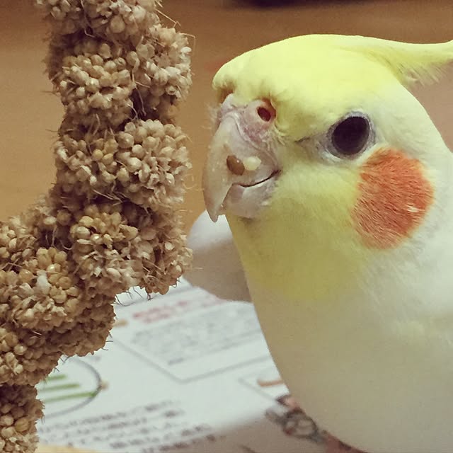 toratanさんの実例写真