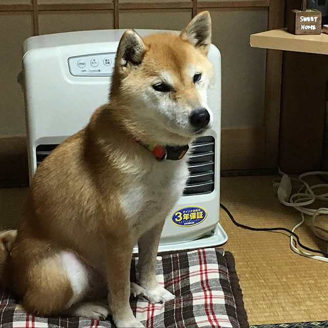 kyukoさんの実例写真