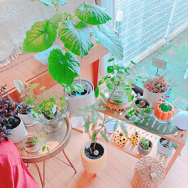 moonさんの部屋