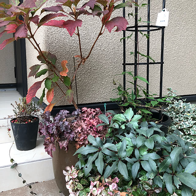 otanuさんの実例写真