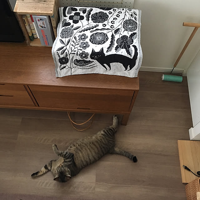 mikomaruさんの実例写真
