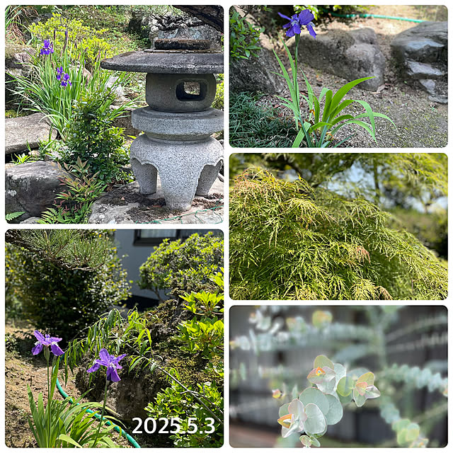 buchiさんの部屋
