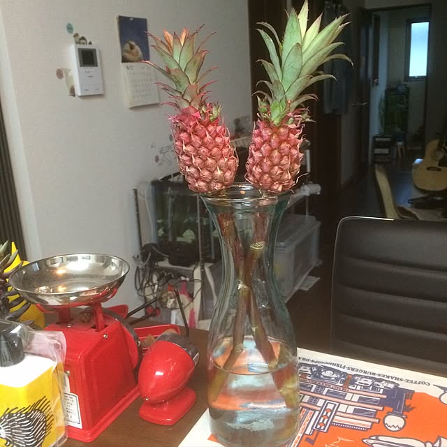 mieさんの実例写真