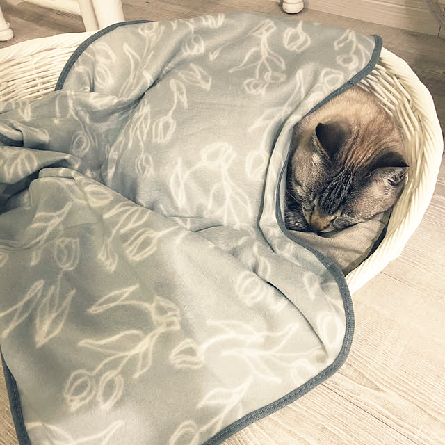 mieさんの実例写真