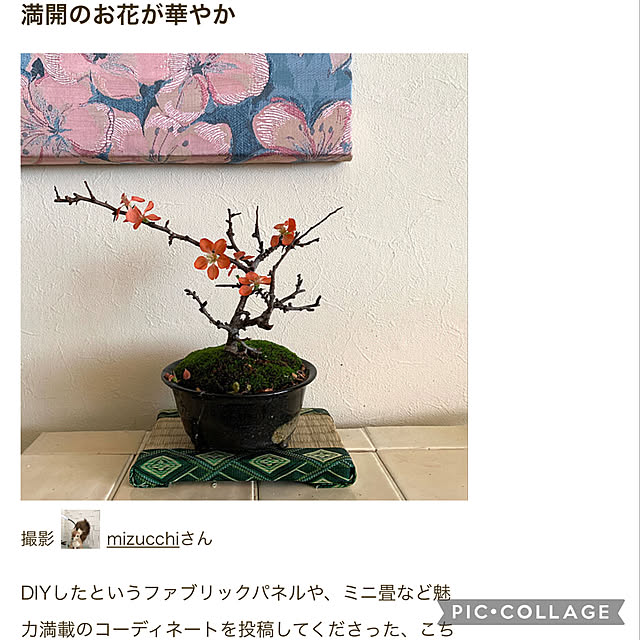 mizucchiさんの実例写真