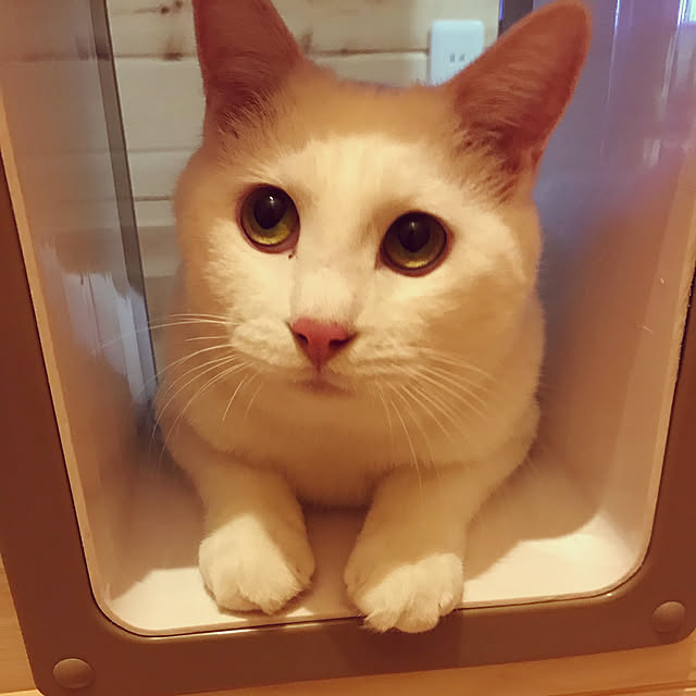 tomomiさんの実例写真