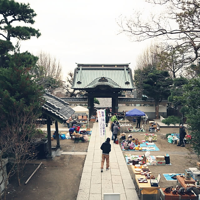 risaperoさんの実例写真