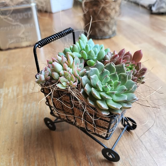 aoiroさんの部屋