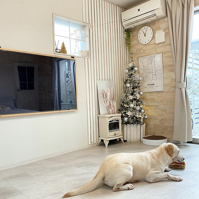 mii_home_39さんの実例写真