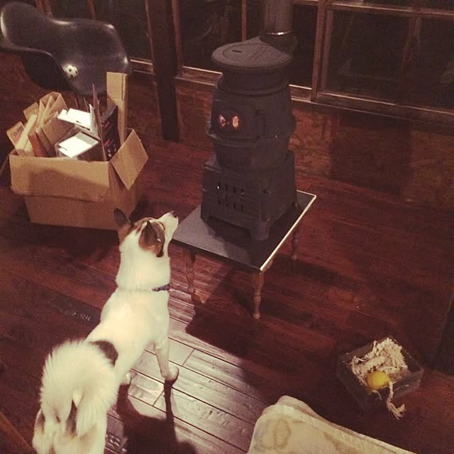 mikawajinさんの実例写真