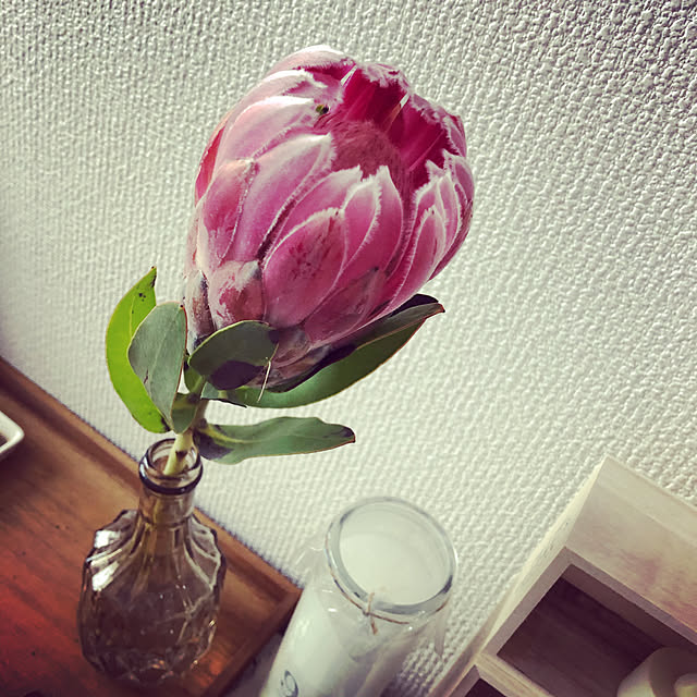 kamecoさんの実例写真