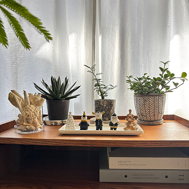 kyoko1124koさんの実例写真