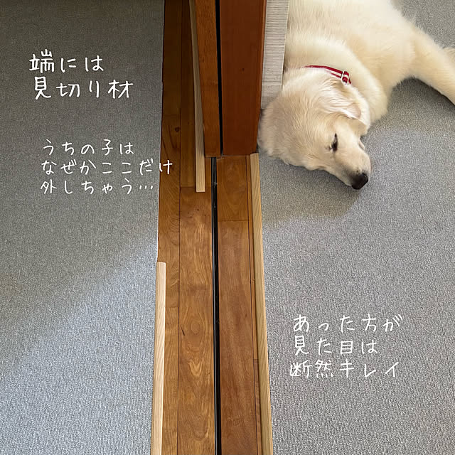 timtamさんの部屋