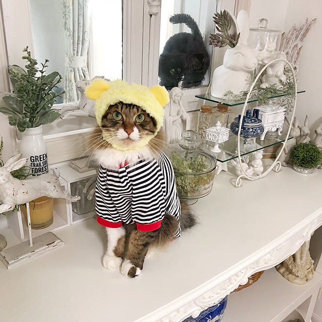 yuchiさんの実例写真