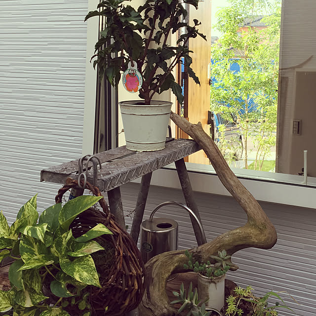Yukoさんの実例写真