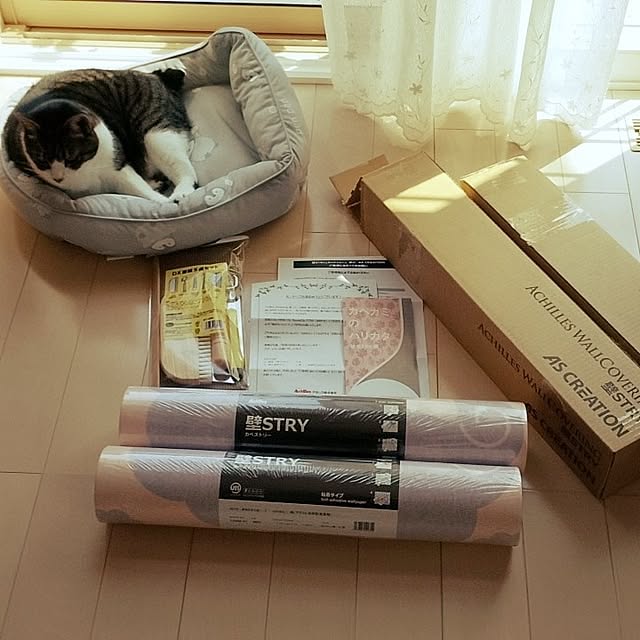 civicglさんの部屋