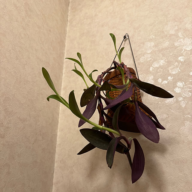 mamizaさんの部屋