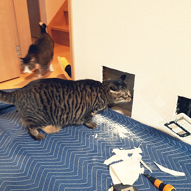 motoさんの実例写真