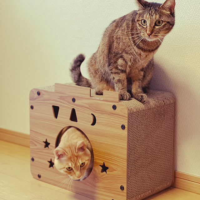chiiさんの部屋