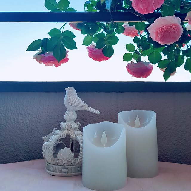 twinkle-butterfly38さんの部屋