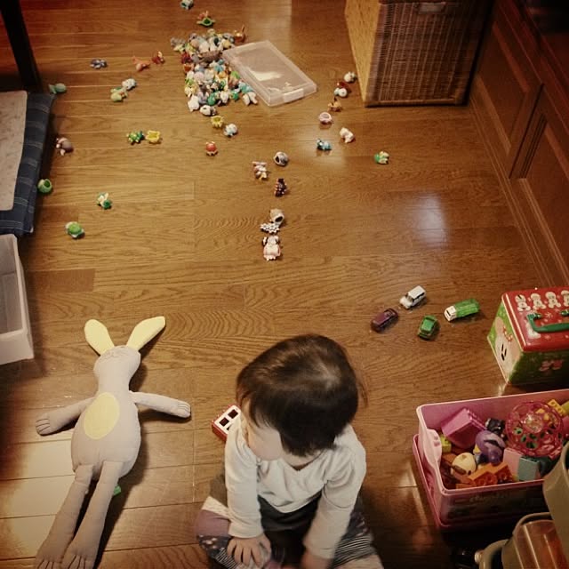 fish.さんの実例写真