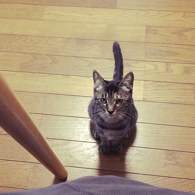 mamiさんの実例写真