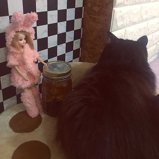 kanaさんの実例写真
