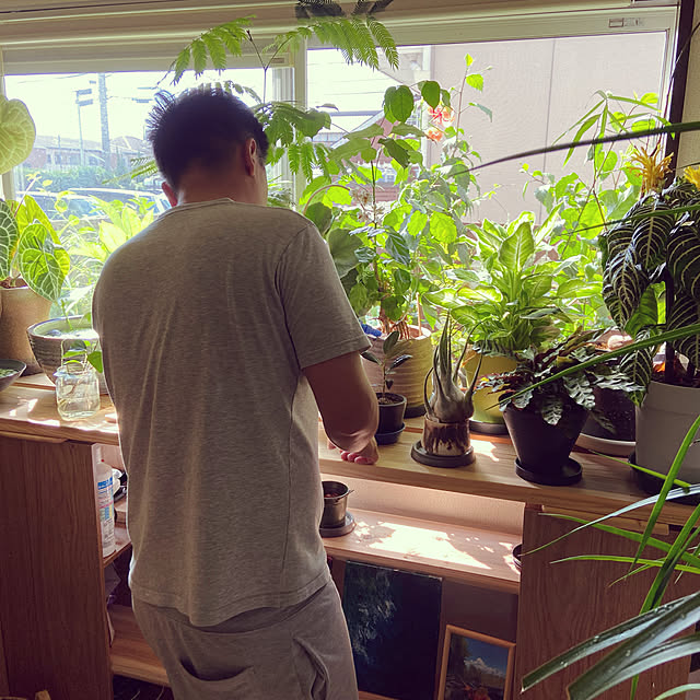 カフェ風/観葉植物/雑貨/棚のインテリア実例 - 2021-09-20 16:55:46
