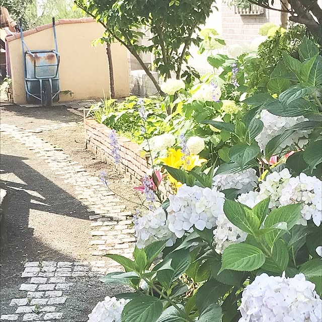 samanthakitchenさんの実例写真