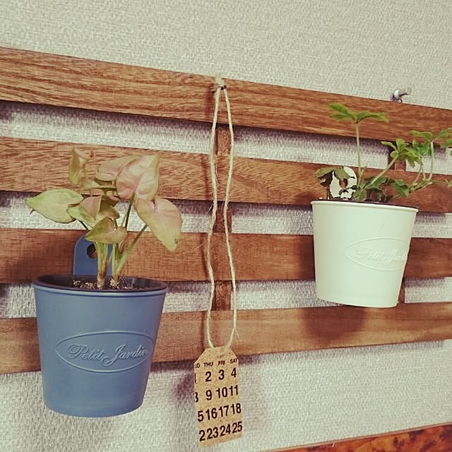 Maiさんの実例写真