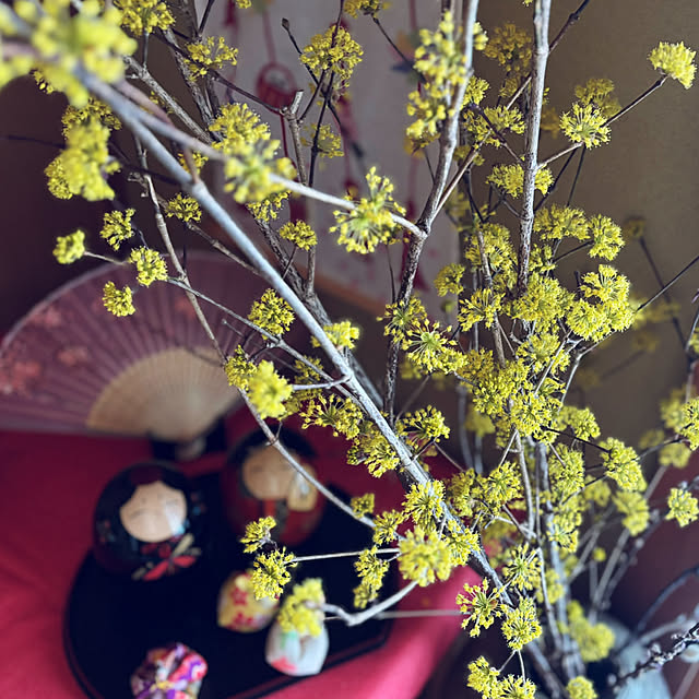 CoCo0617さんの部屋