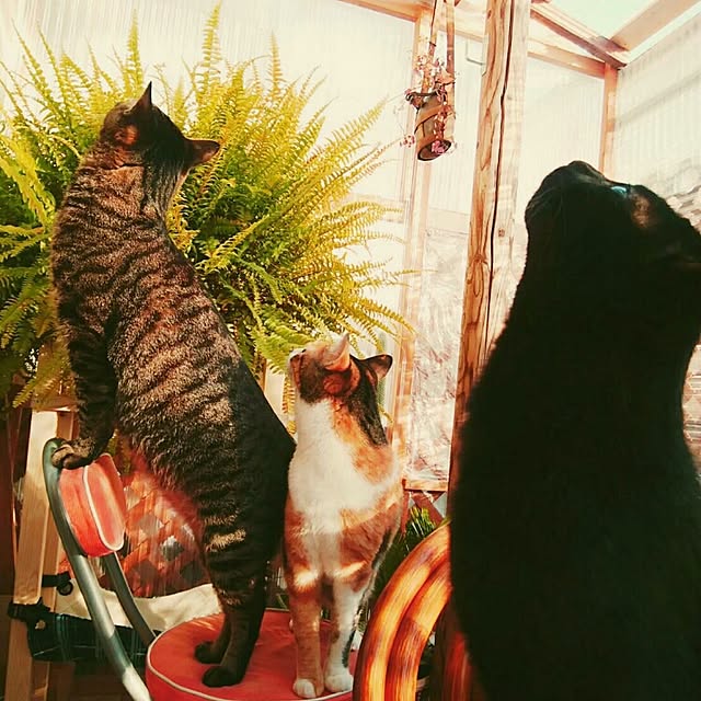 taleo07さんの実例写真