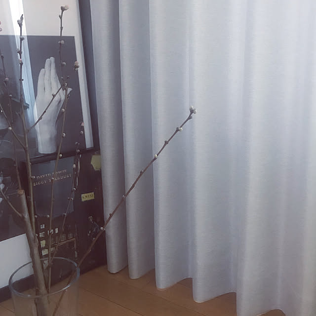 tomomine0522さんの実例写真