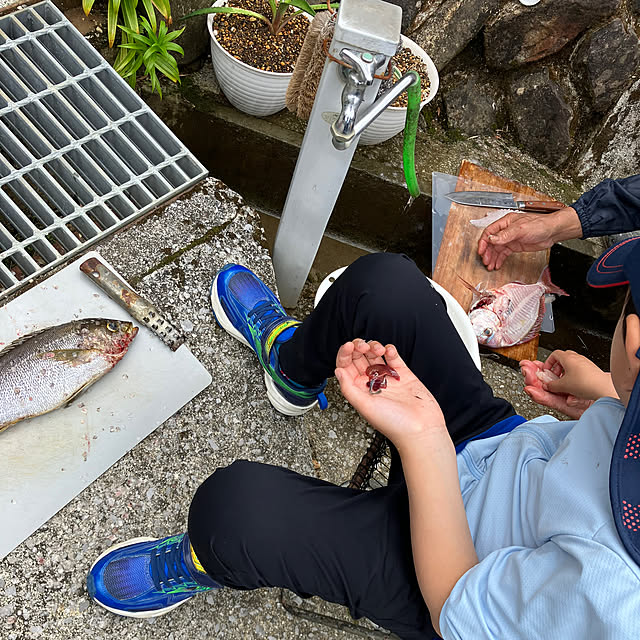 koshiregutyoさんの部屋