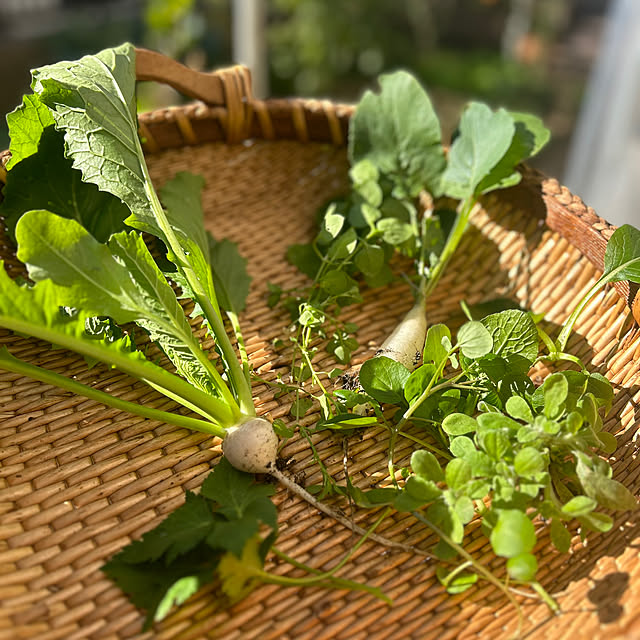 botanさんの部屋