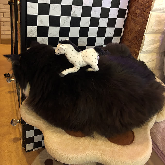 kanaさんの実例写真