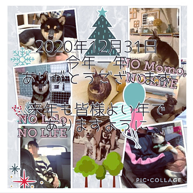 mo-nosukeさんの実例写真