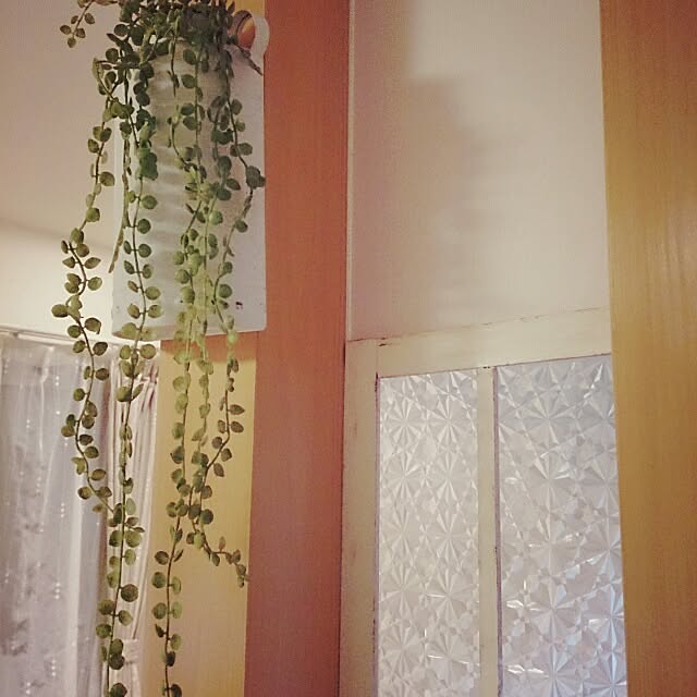 ayu0125さんの実例写真