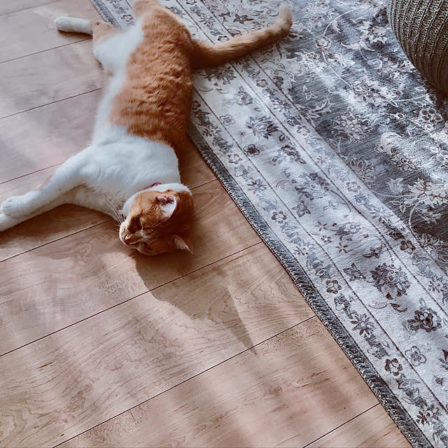 Yさんの実例写真