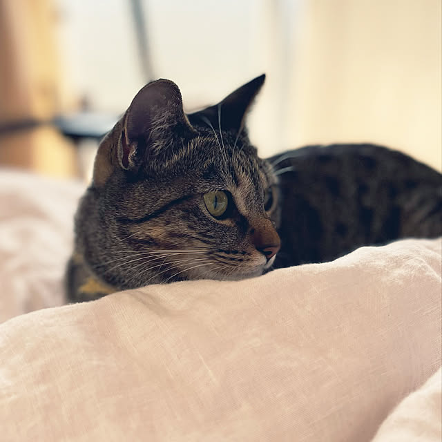 Mさんの実例写真