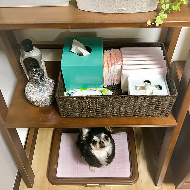 Ericakさんの実例写真