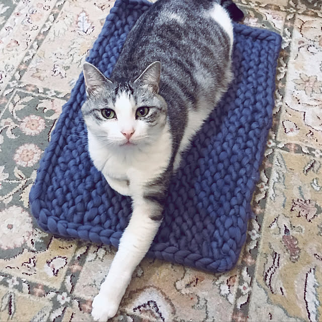 emmyyさんの実例写真