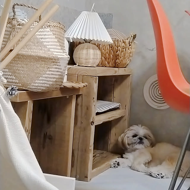 yukagomaさんの実例写真