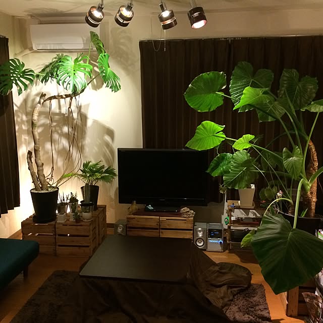 Taketoさんの実例写真