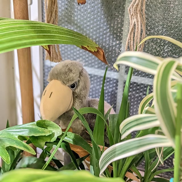 GINさんの実例写真