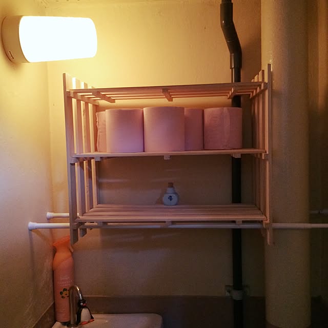 raiさんの実例写真