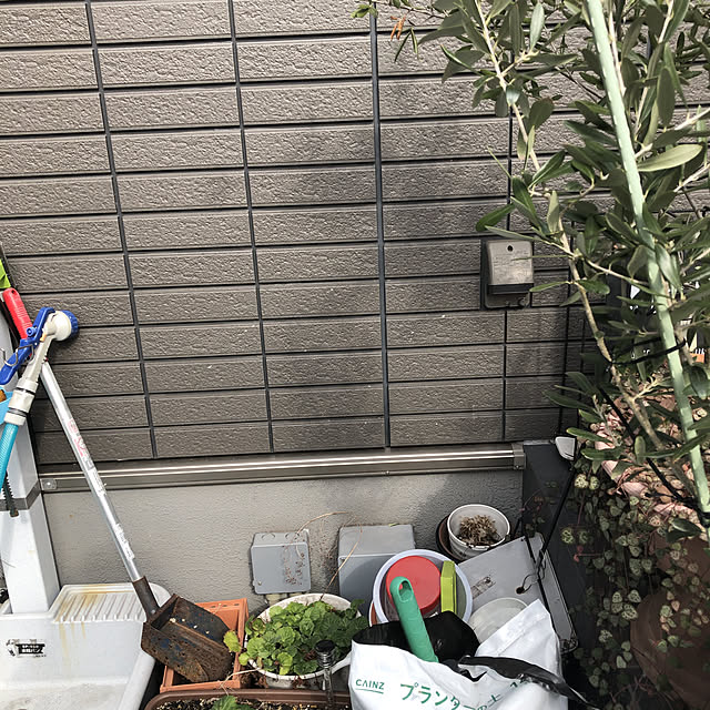 実例写真