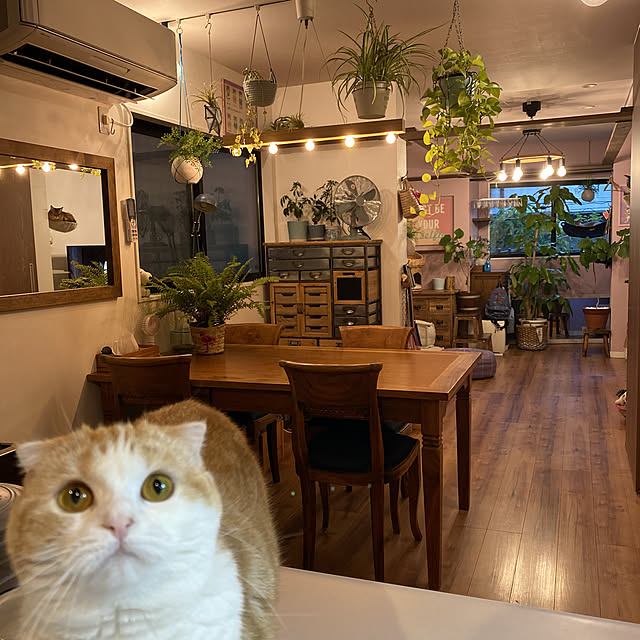 poniさんの実例写真