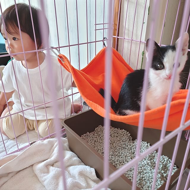 miho.okuさんの部屋