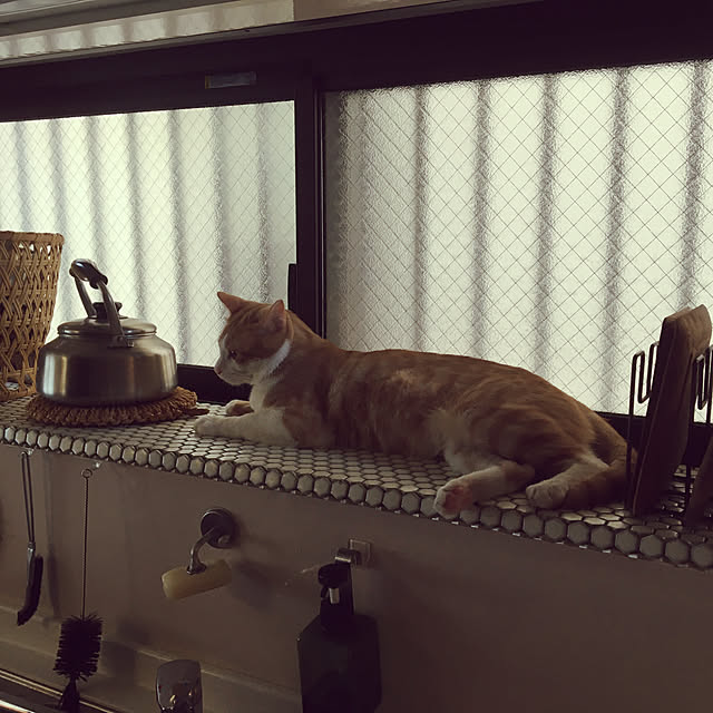 yukibeさんの実例写真